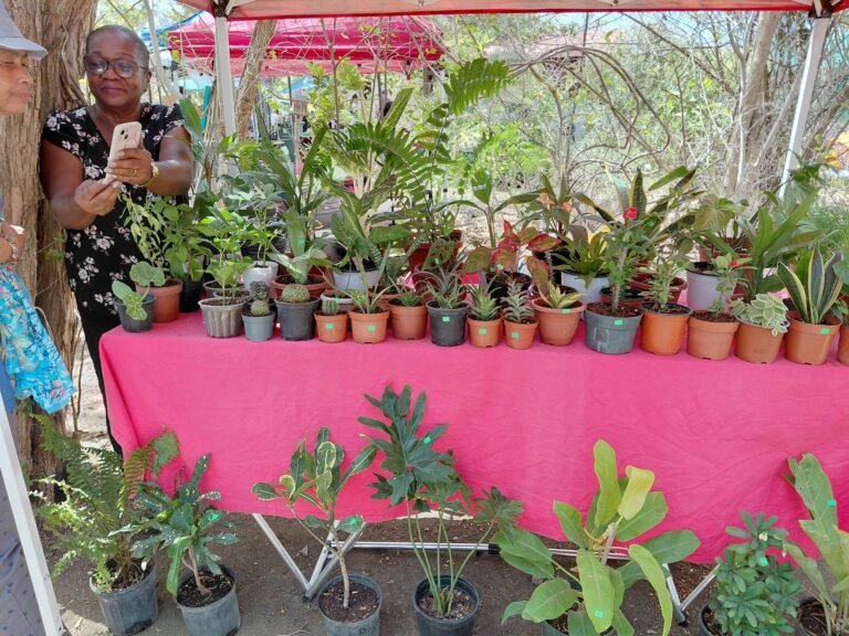 640276335_1261459986121775_5590137458875302950_n