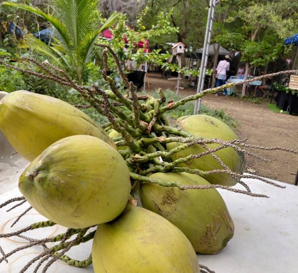 571126924_1168145742119867_3715565288214582104_n